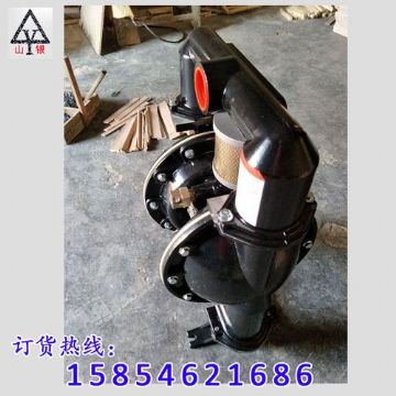 點擊查看詳細信息<br>標題：氣動隔膜泵著名品牌-氣動隔膜泵廠家 閱讀次數(shù)：1825