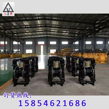 點擊查看詳細信息<br>標題：隔膜泵_氣動隔膜泵_隔膜泵價格_隔膜泵 閱讀次數(shù)：1718