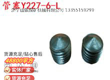 點(diǎn)擊查看詳細(xì)信息<br>標(biāo)題：英格索蘭隔膜泵配件管塞Y227-6-L 閱讀次數(shù)：176