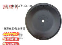 點擊查看詳細信息<br>標題：氣動隔膜泵配件-隔膜片 閱讀次數(shù)：143